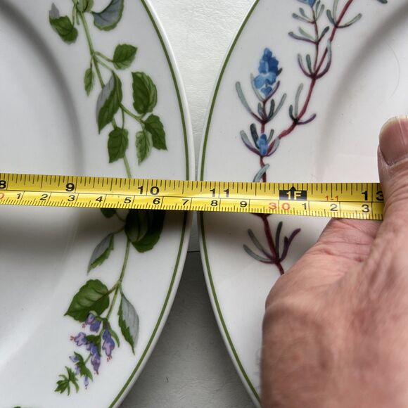 Disney Winnie the Pooh Herb Dinner Plates Set of 4 - Picture 11 of 14